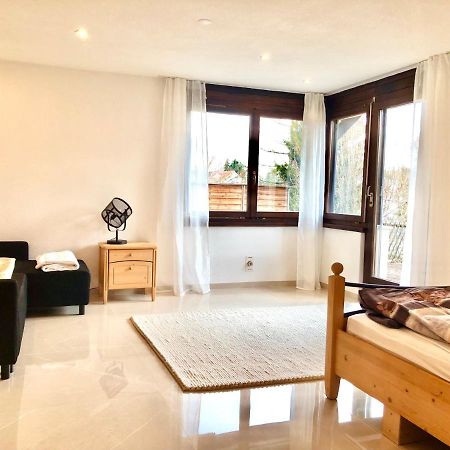 Big Apartment With Garden Rapperswil-Jona Екстер'єр фото