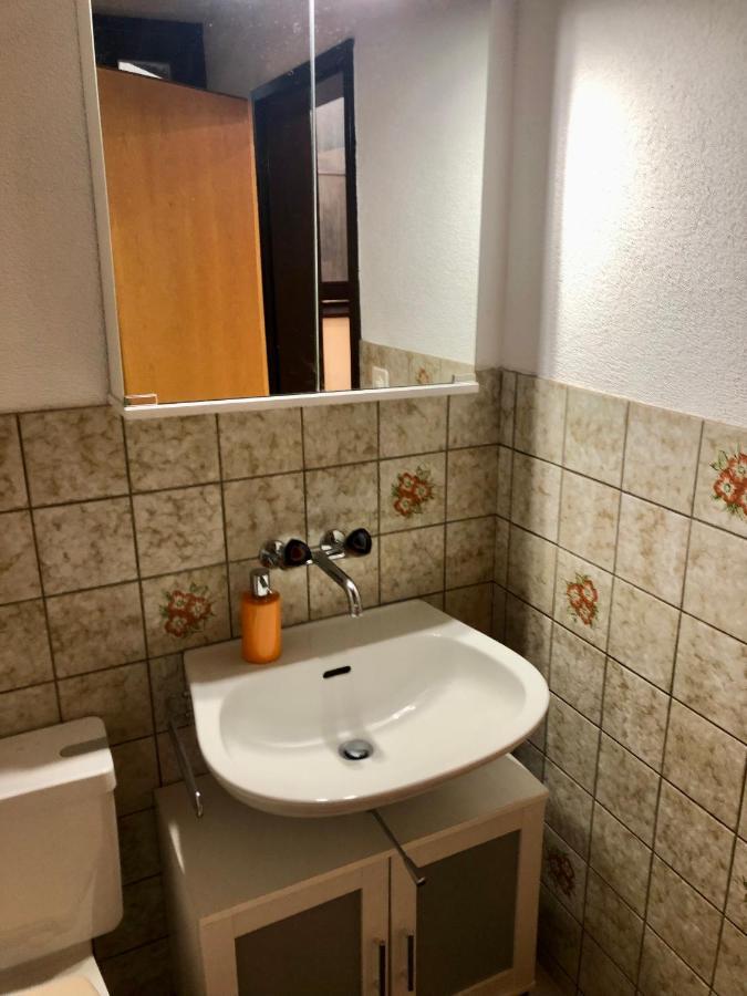 Big Apartment With Garden Rapperswil-Jona Екстер'єр фото